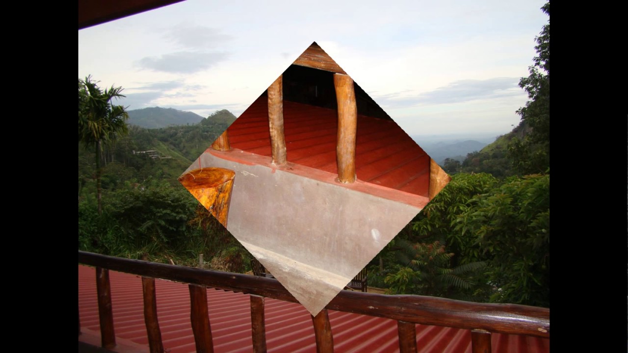 Mount View Guest
