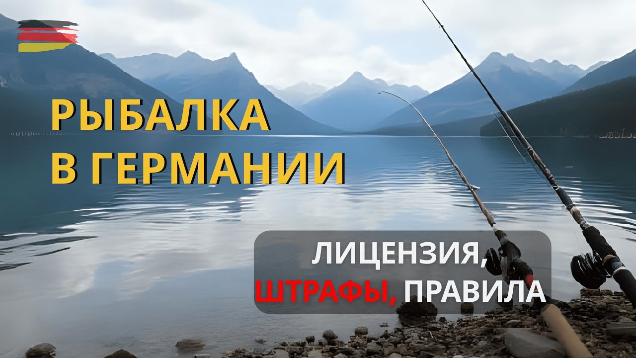 Полный гайд 2025: как получить лицензию, где ловить, за что штрафуют, стоимость и правила рыбалки
