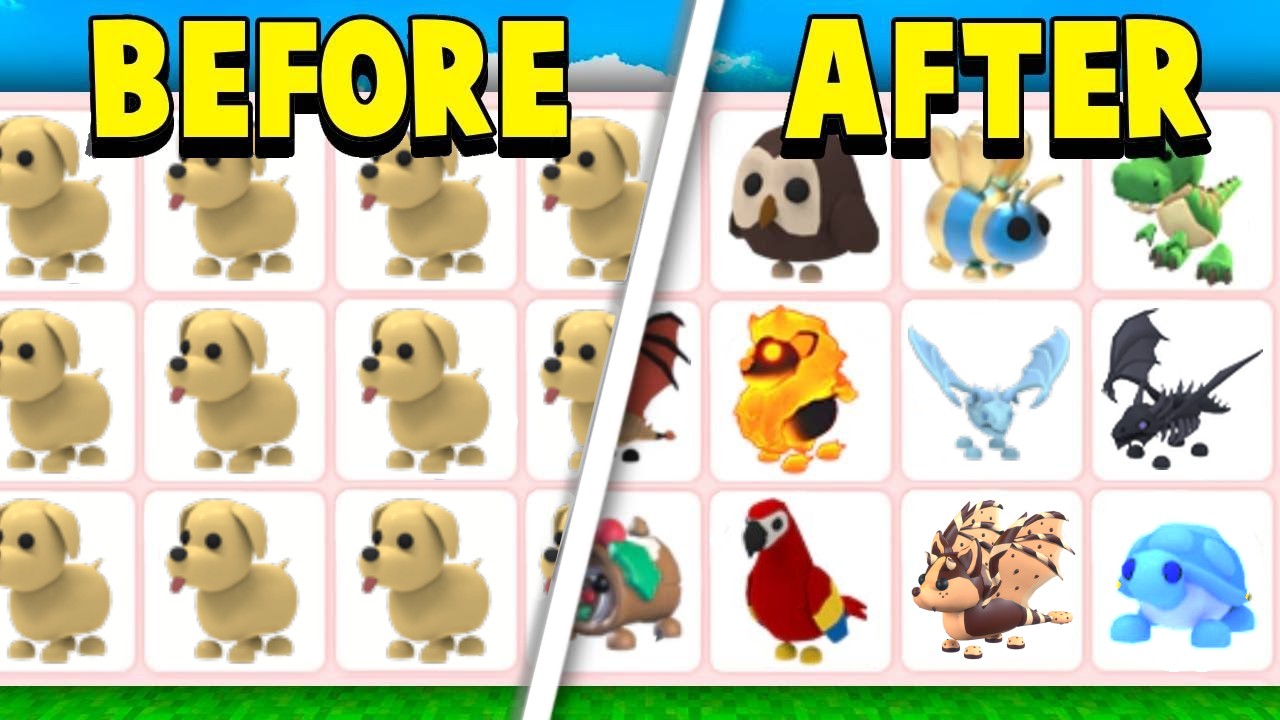 Trading 100 Dogs In Adopt Me!