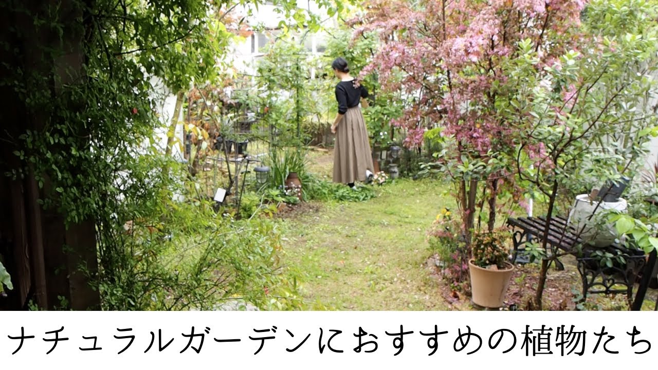 【庭作り】ナチュラルガーデン作りにおすすめの植物を紹介/手間をかけないでも育つ植物