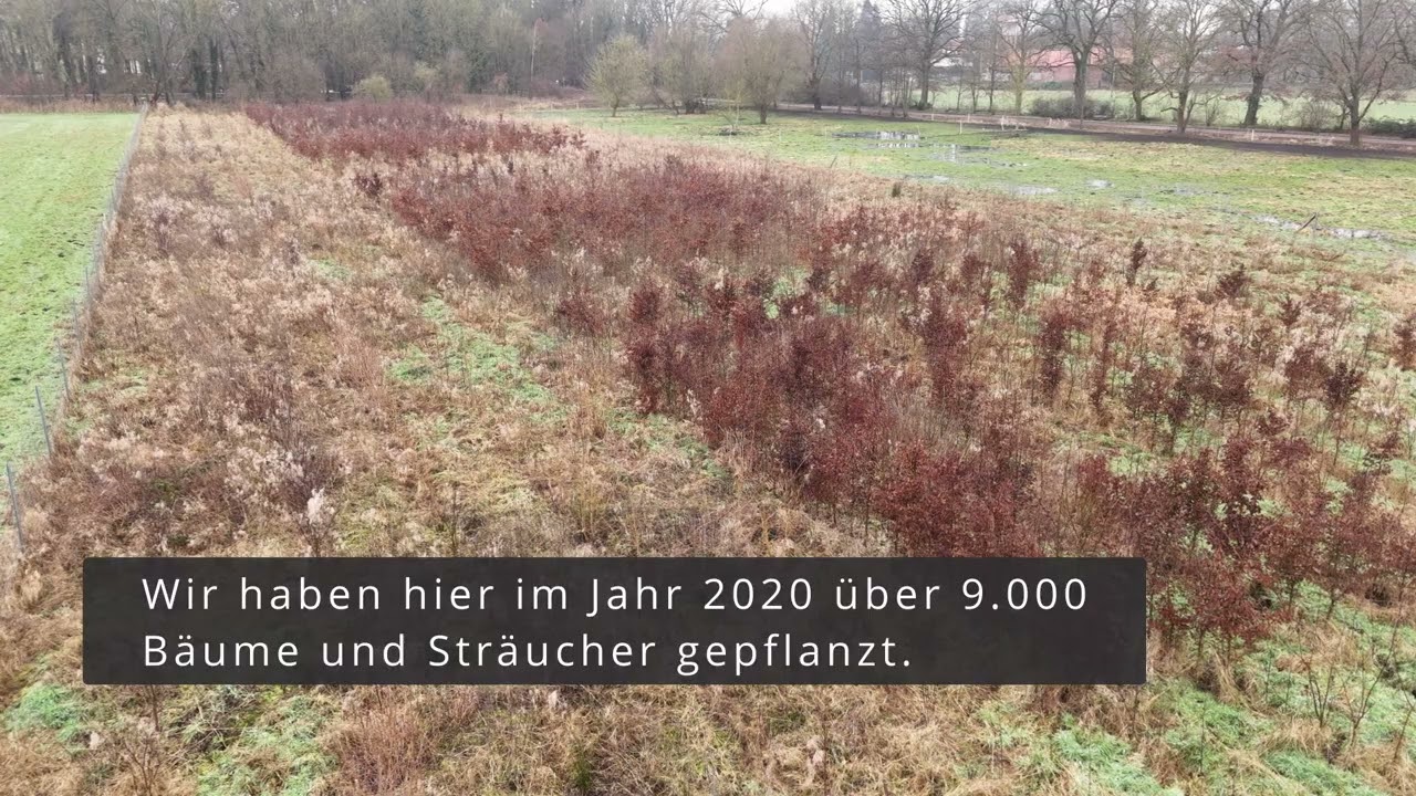 Kalbe im Januar 2025