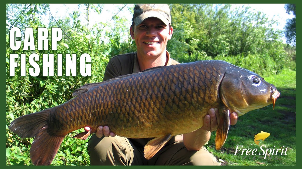 CARP FISHING - FREE SPIRIT PETE CASTLE CARP MATCH