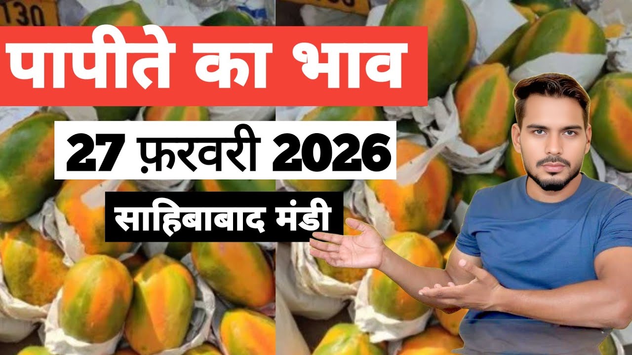 27 February 2026 पपीते का भाव साहिबाबाद मंडी | today papaya rates in sahibabad mandi delhi NCR