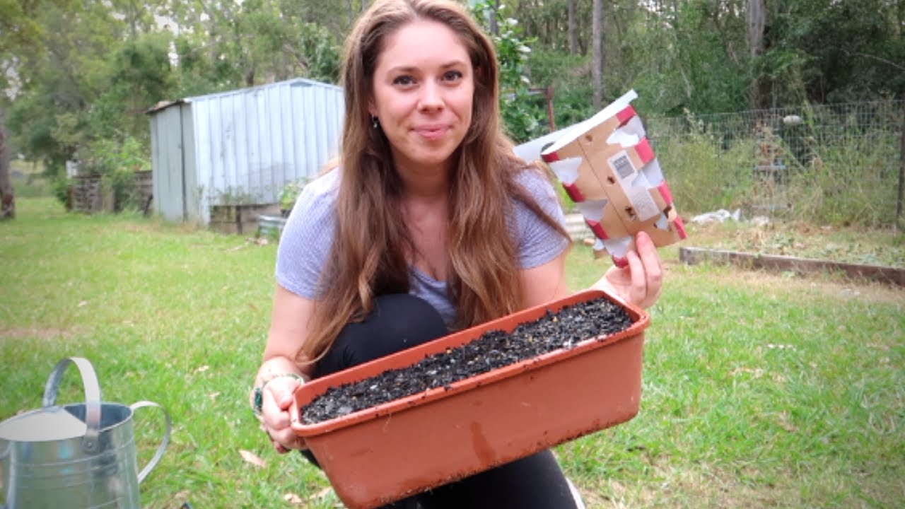 How To Do Hugelkultur Gardening In Containers