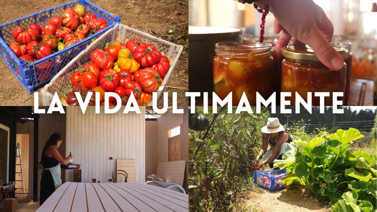 Febrero es un Popurrí | Huerta, Construcción y Comida