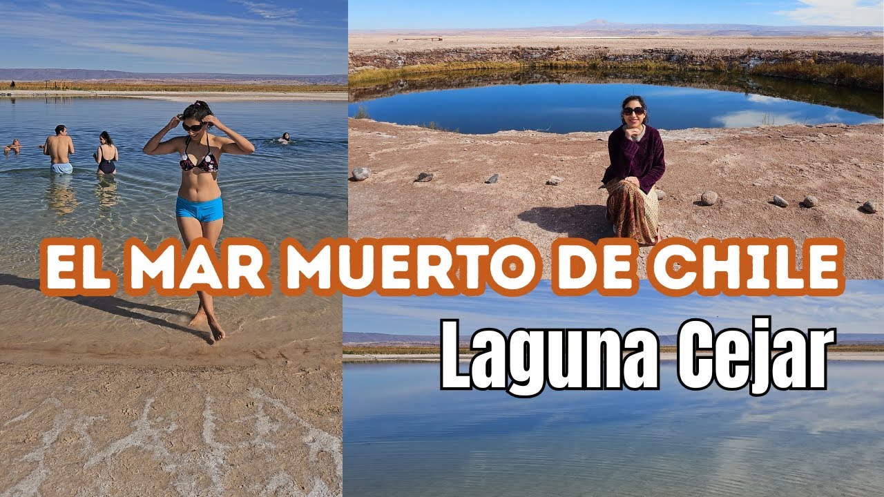 ¿Te ATREVES a BAÑARTE en el FRIO de la LAGUNA CEJAR?