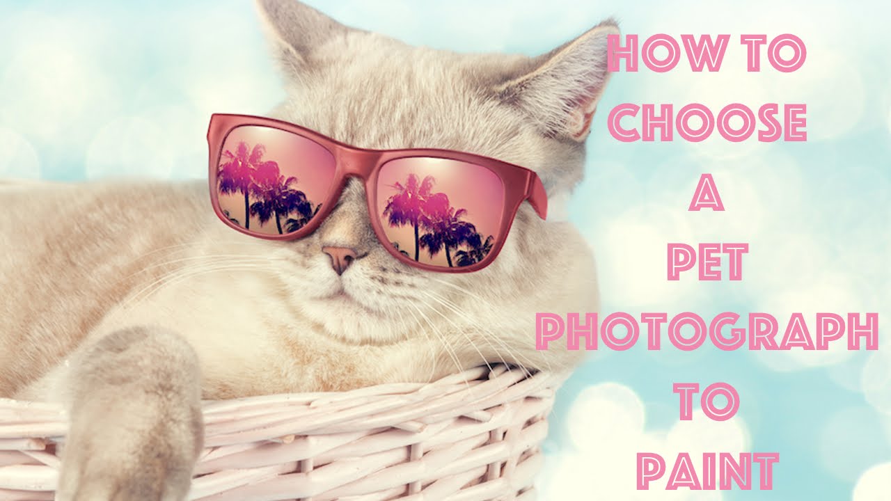 Big art quest #17 Paint your Pet Choosing the Picture | TheArtSherpa