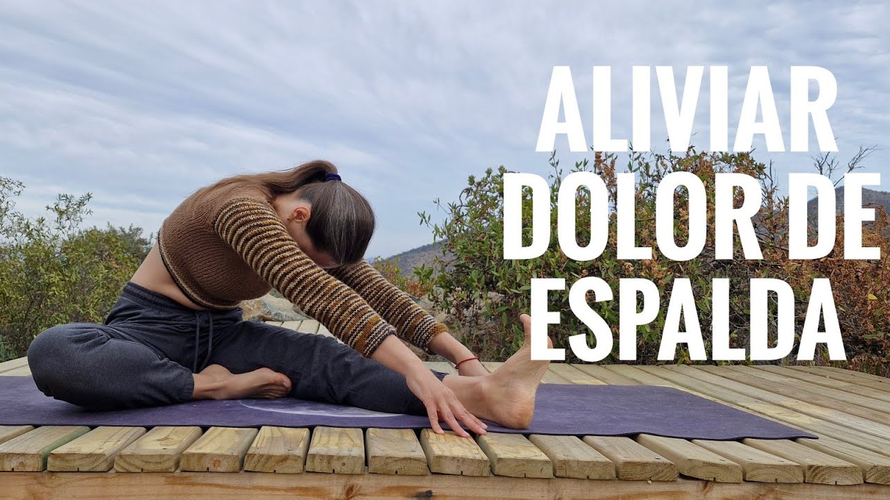 Relaja tu Espalda: Estiramientos Efectivos para el Dolor  | MALOVAELENA
