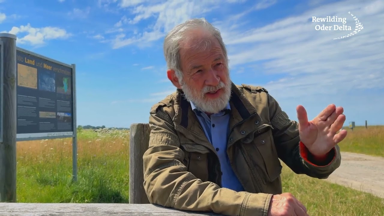 Salt marshes along the Baltic Sea coast over the last few decades