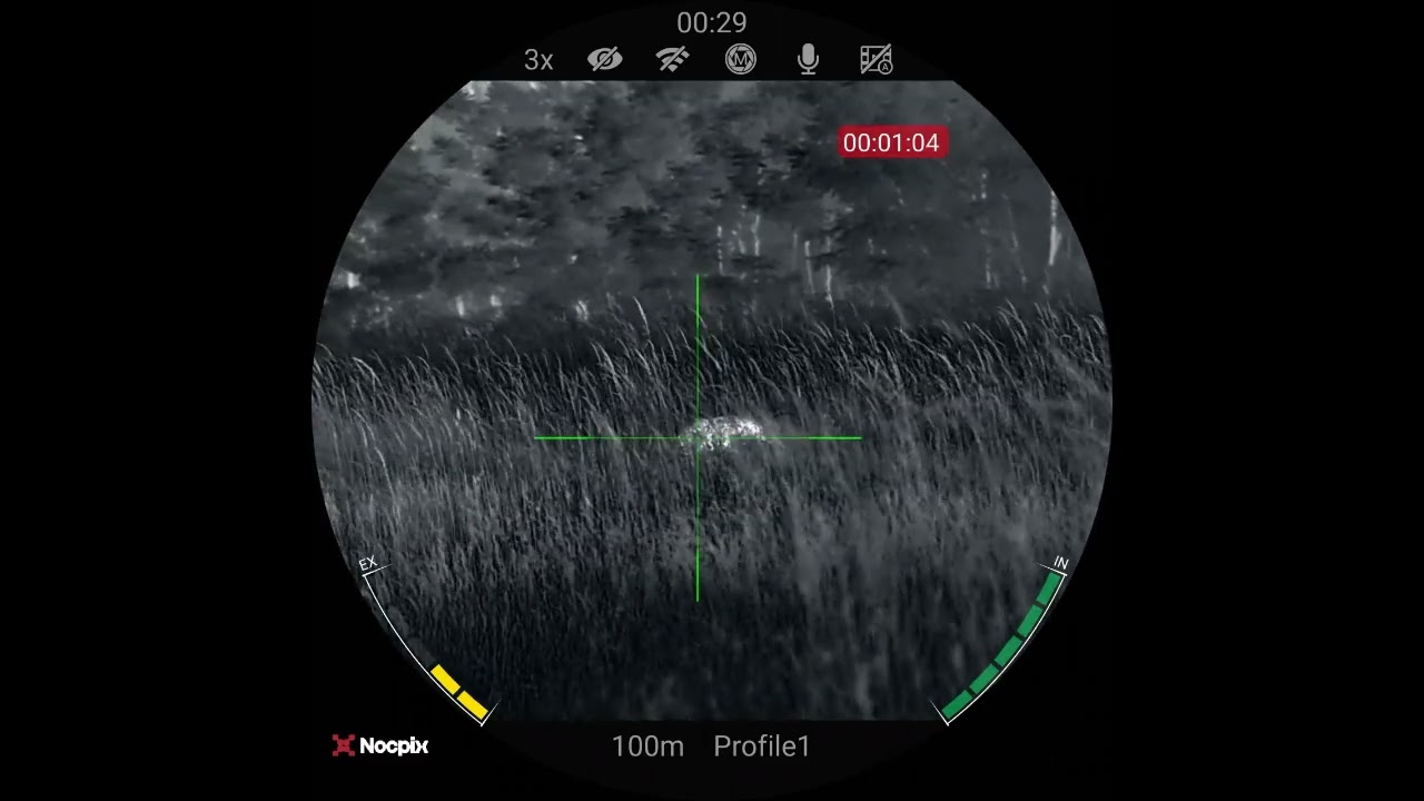 Wild Boar shot trough tall grass - Nocpix Ace H50