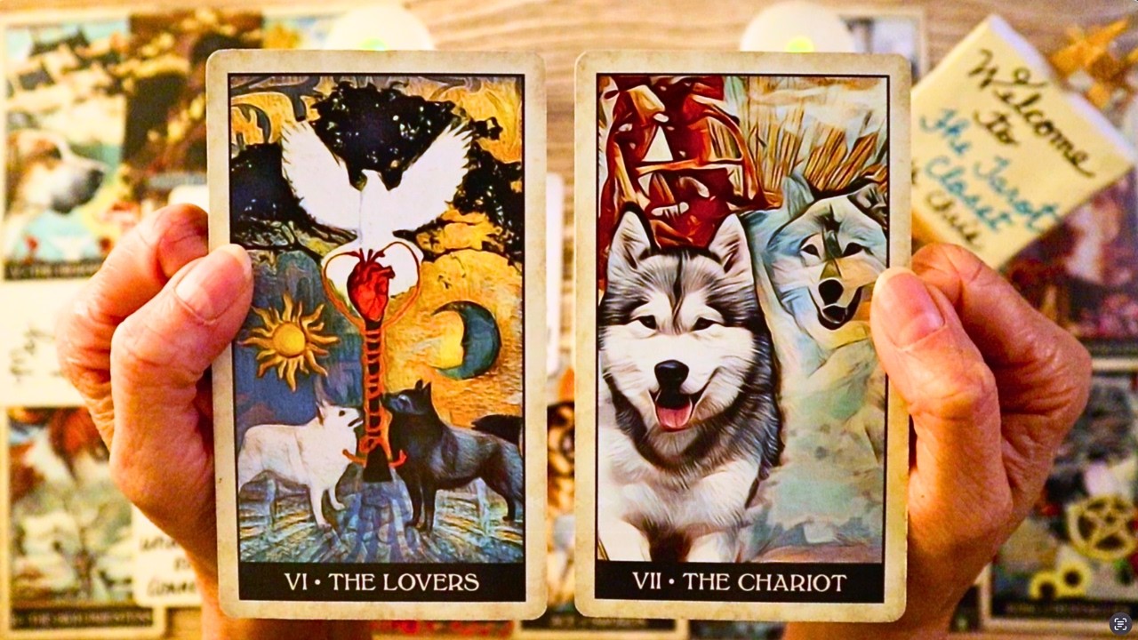 ❤️ SOMEONE IS MAKING A PLAN TO COME TO YOU!! | All Signs Tarot