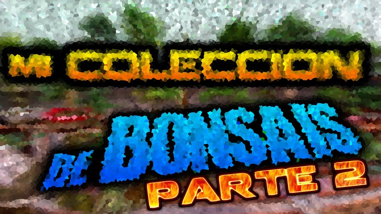 Mi Colección de Bonsais (Parte 2)