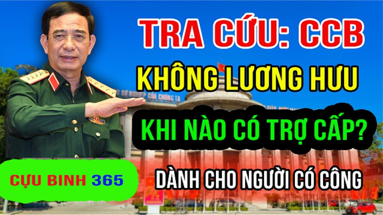 Tra Cứu: CCB Không Có Lương Hưu – Khi Nào Được Xét, Hưởng Trợ Cấp Người Cao Tuổi?