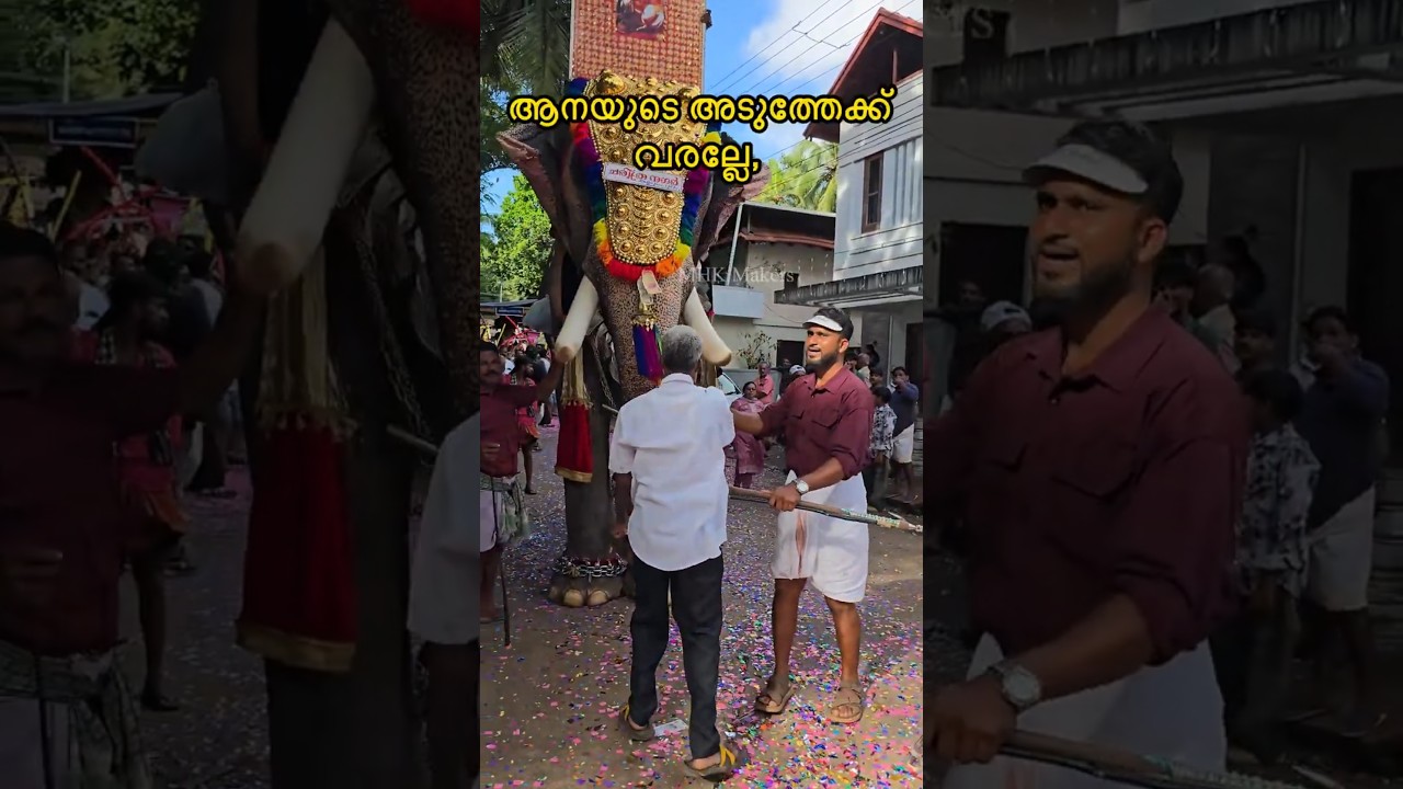 Don't come near the elephant, brother | Akkarammal Sekharan Akkaramel sekharan Akkarammal Sekharan #mhkmakers
