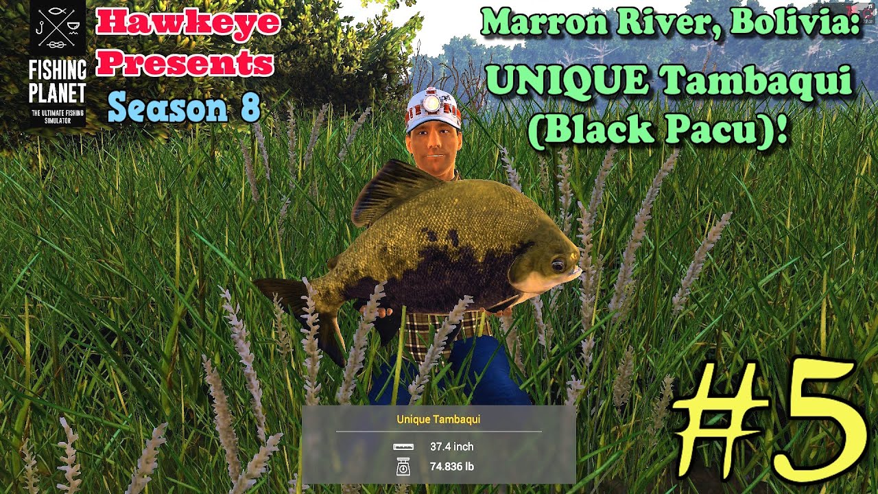 Fishing Planet #5 - S8 - Marron River, Bolivia: UNIQUE Tambaqui (Black Pacu)!