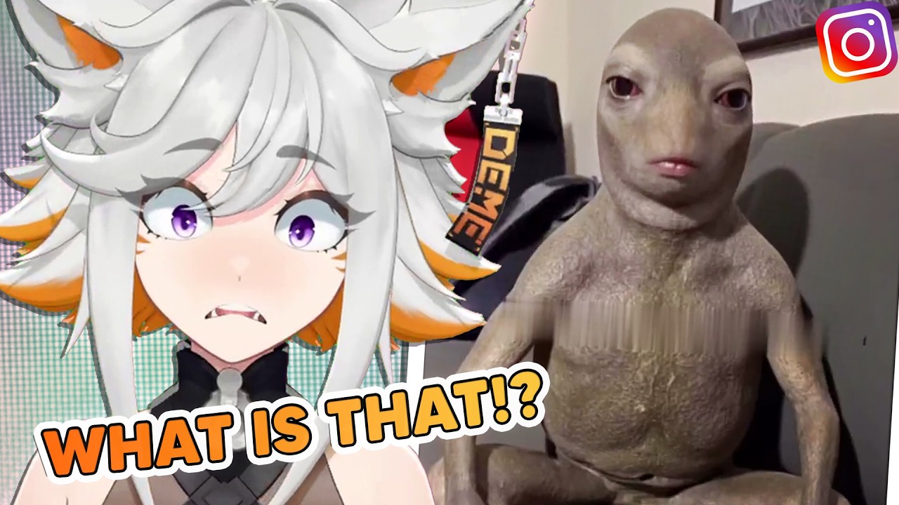 Deme Reacts to Memes She Should&rsquo;ve Ignored at 3AM (With Bingo)