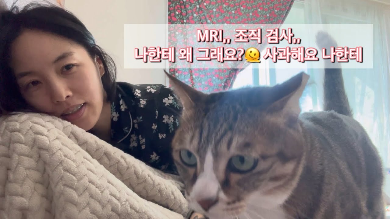 국립암센터,, 대전 성심당 당일치기, 이마트에서 중매 헌팅? 고라니..🦌