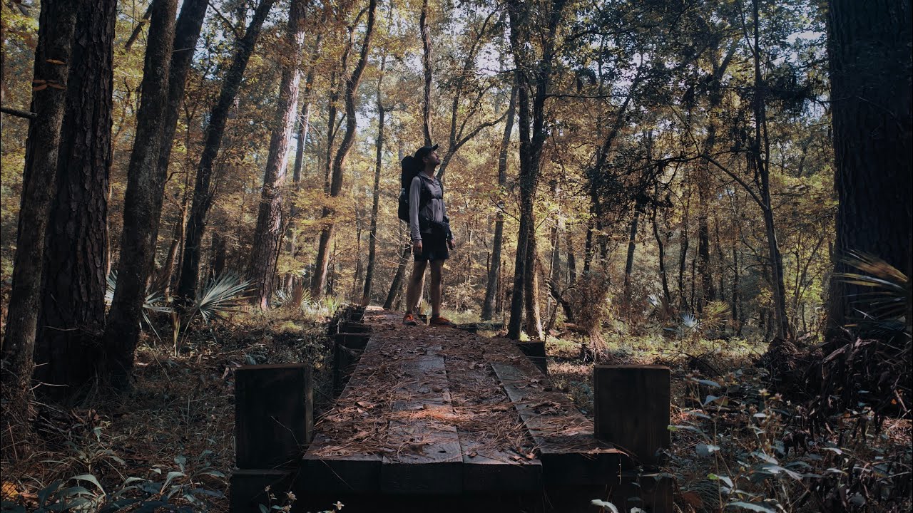 Solo Hiking 20 Miles on the Lone Star Trail