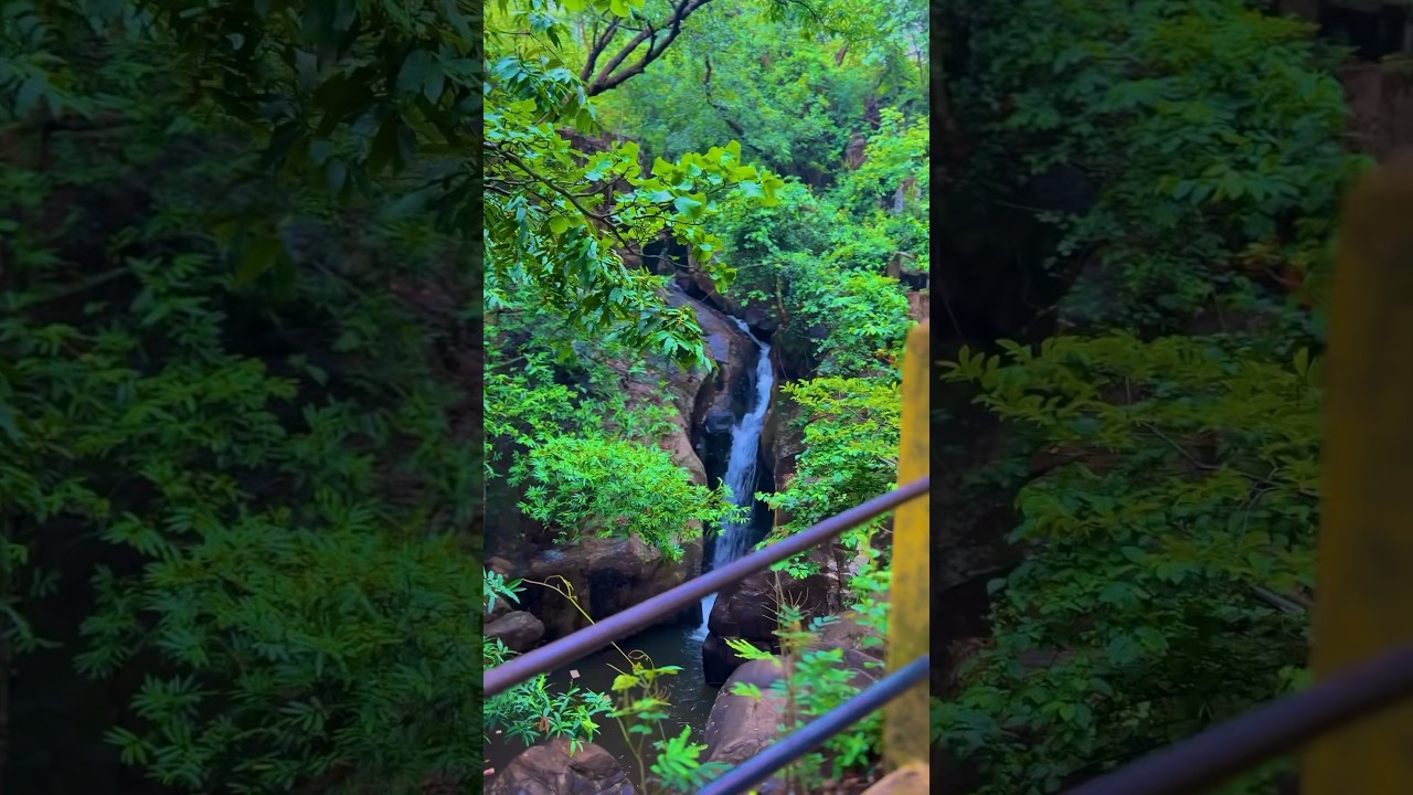 Sri Nrusinghanath Temple is Located in the sacred Gandhamardan Hills