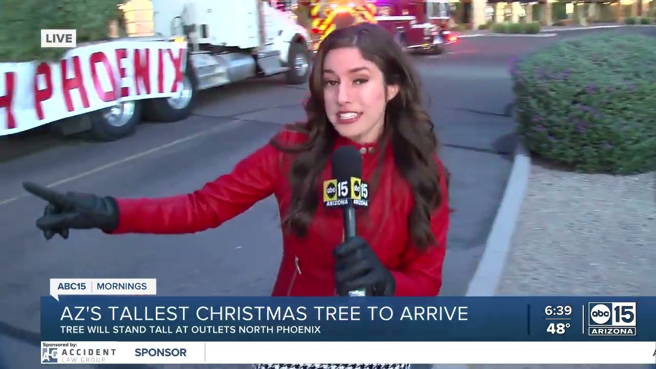 Arizona's tallest fresh-cut Christmas tree arrives in Anthem