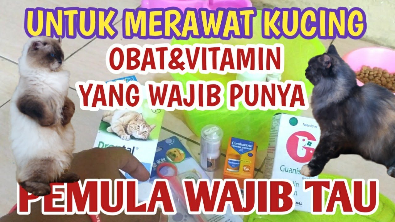 REKOMENDASI VITAMIN & OBAT WAJIB ADA  UNTUK MEMELIHARA KUCING