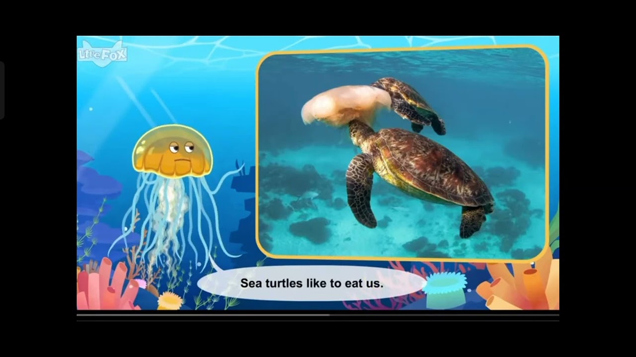 L2 073 Meet the Animals 73 Jellyfish
