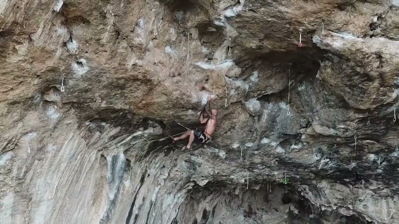 Arcadia 7c Bovedon Gandia