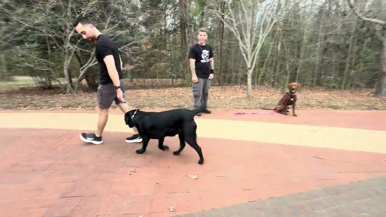 Mattis and cane 