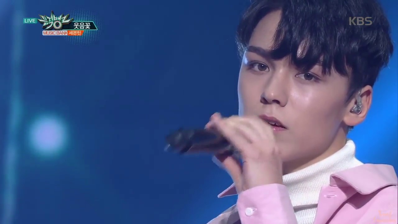 SEVENTEEN(세븐틴) - Smile Flower (세븐틴) Stage Mix
