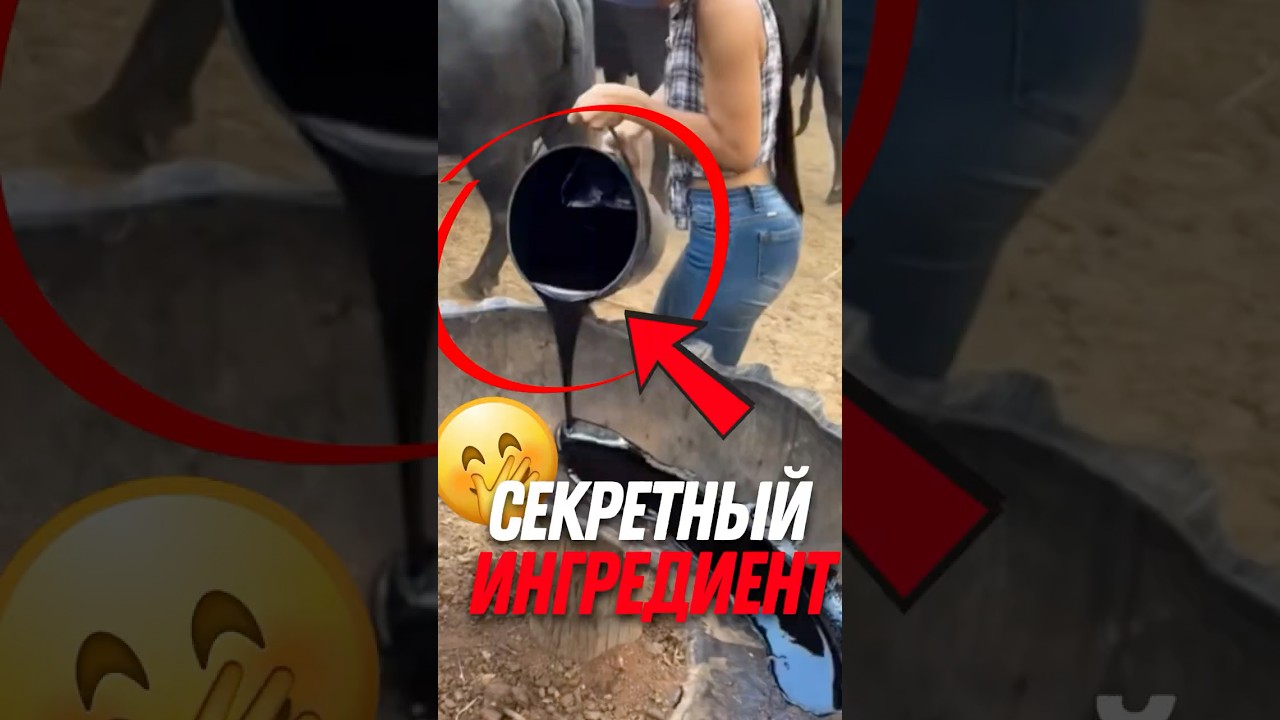 🐂 Почему коровы без ума от мелассы!
