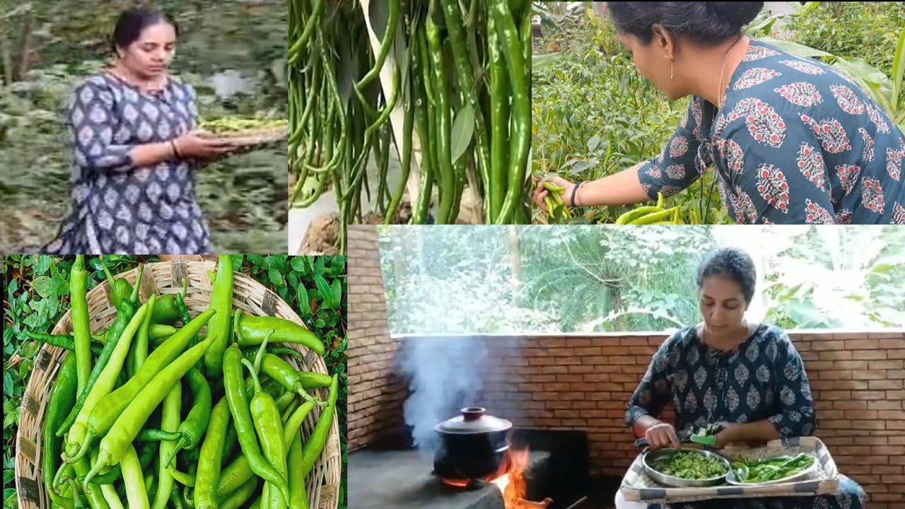 ഇതെങ്ങനെയുണ്ടായി ഇത്രയും അറിയില്ല 