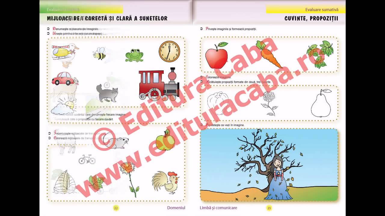 Evaluare sumativa 4-5 ani. Rezolva repede si bine cu Iepurila