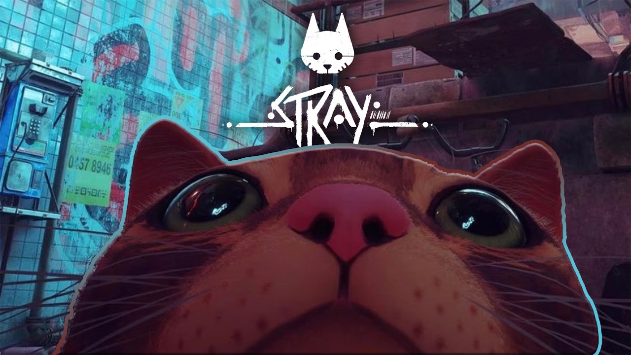 LENGAH DIKIT GARUK SOFA【Stray】#part2