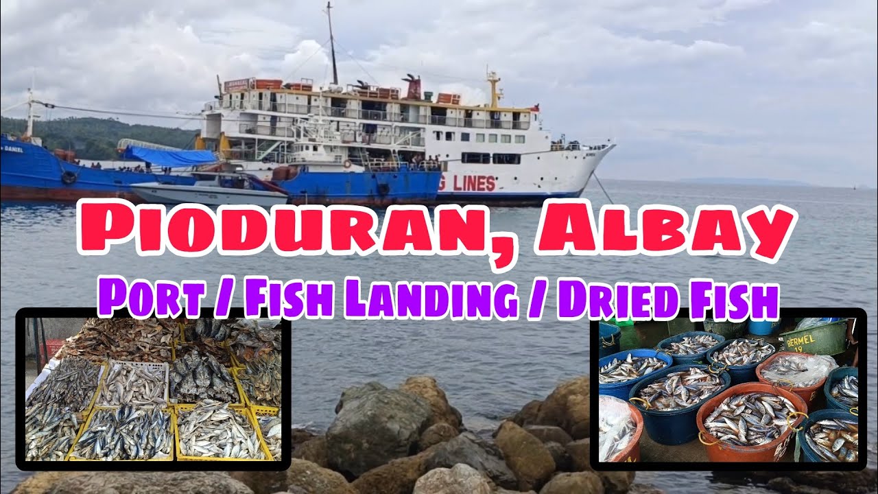 Pioduran, Albay - Port / Fish Landing / Dried Fish