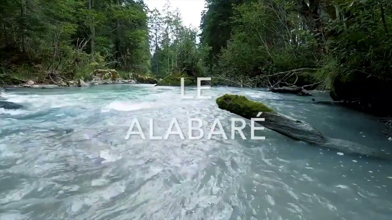 Alabanza y adoración 15/Febrero/2026
