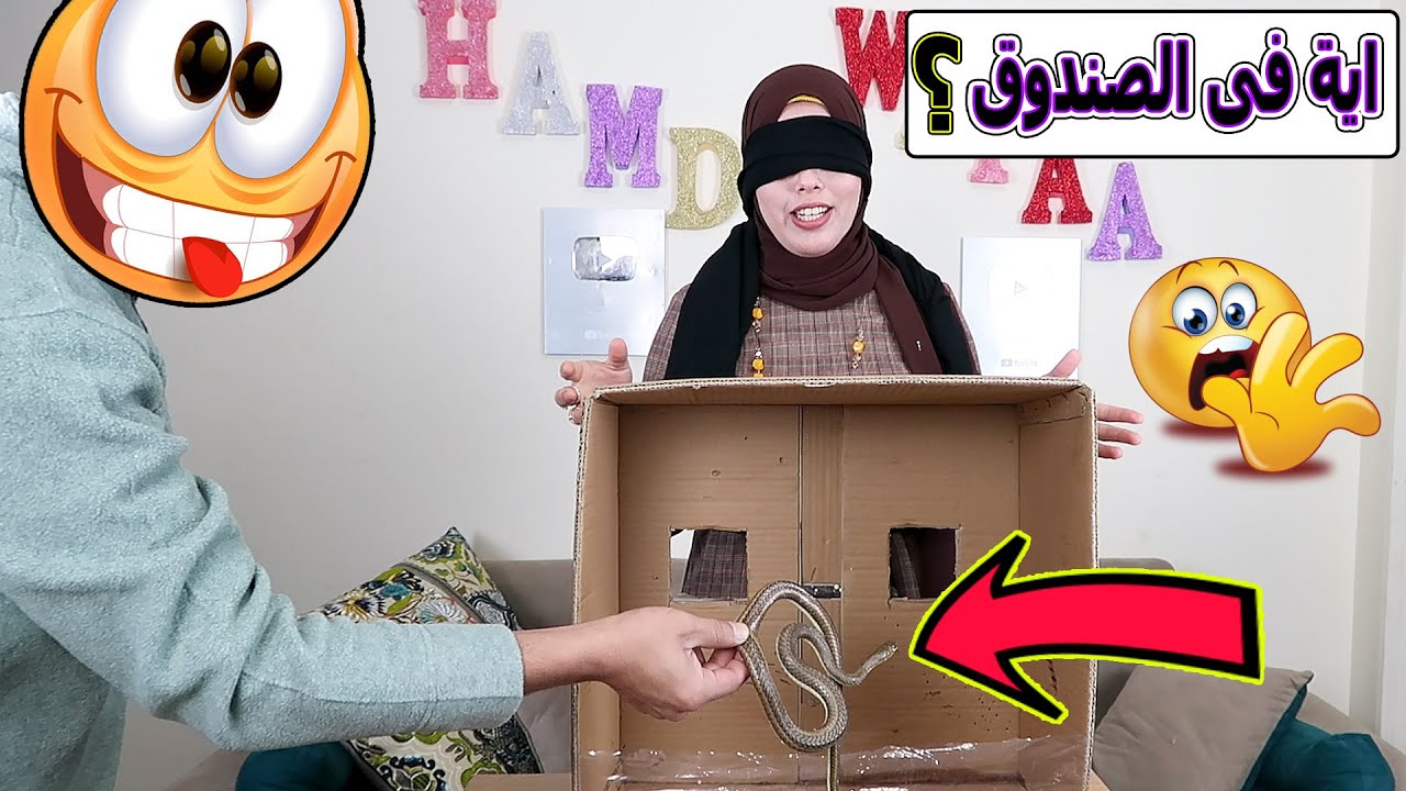 ايش اللى في الصندوق؟ في بيتنا زواحف😱