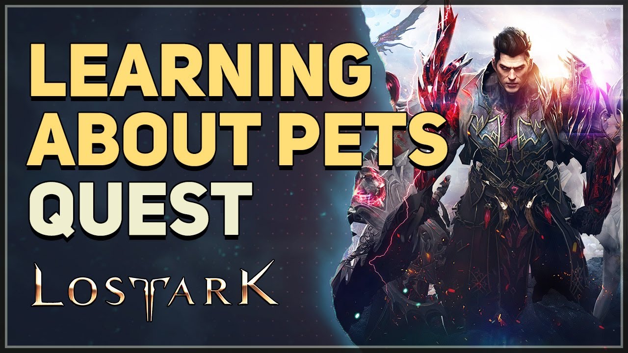 Learning about Pets Lost Ark