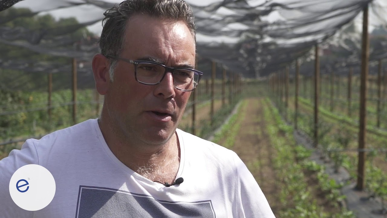Storie dal GAL EVV - Azienda Agricola di Bricco Gabriele di Luserna San Giovanni