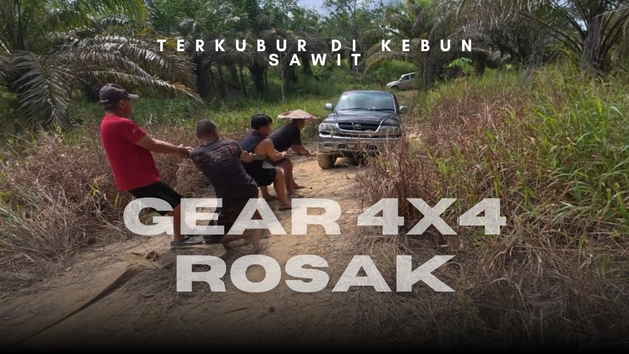 Gear 4x4 Rosak / Terkubur Di Kebun Sawit