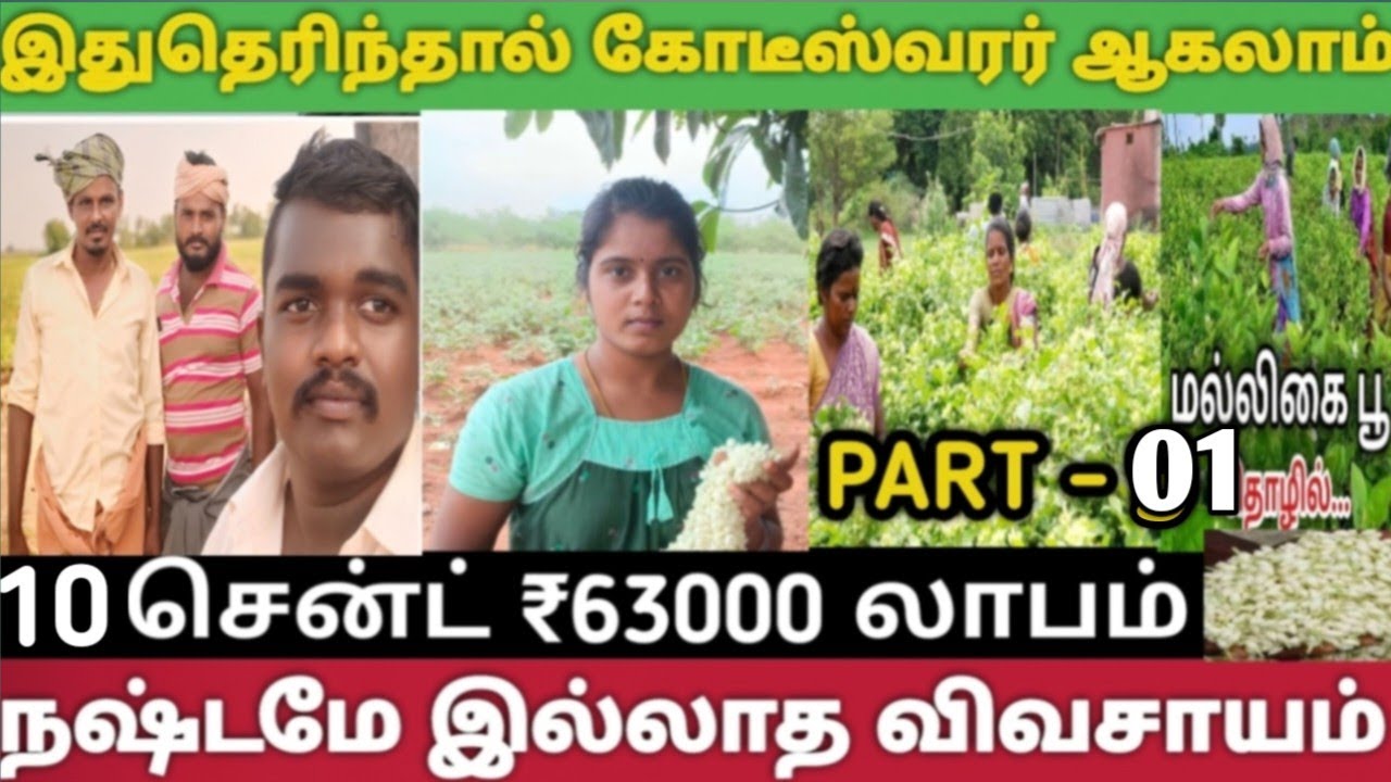 படித்த விவசாயிகள் தேர்ந்தெடுத்த பாதை 👉 மல்லிகை மலர் பயிரிடும் ரகசியங்கள் 🌿#shorts #sajinvlogs492