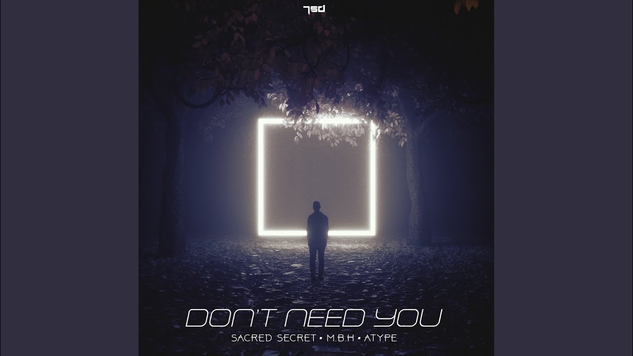 Don't Need You (Original Mix)