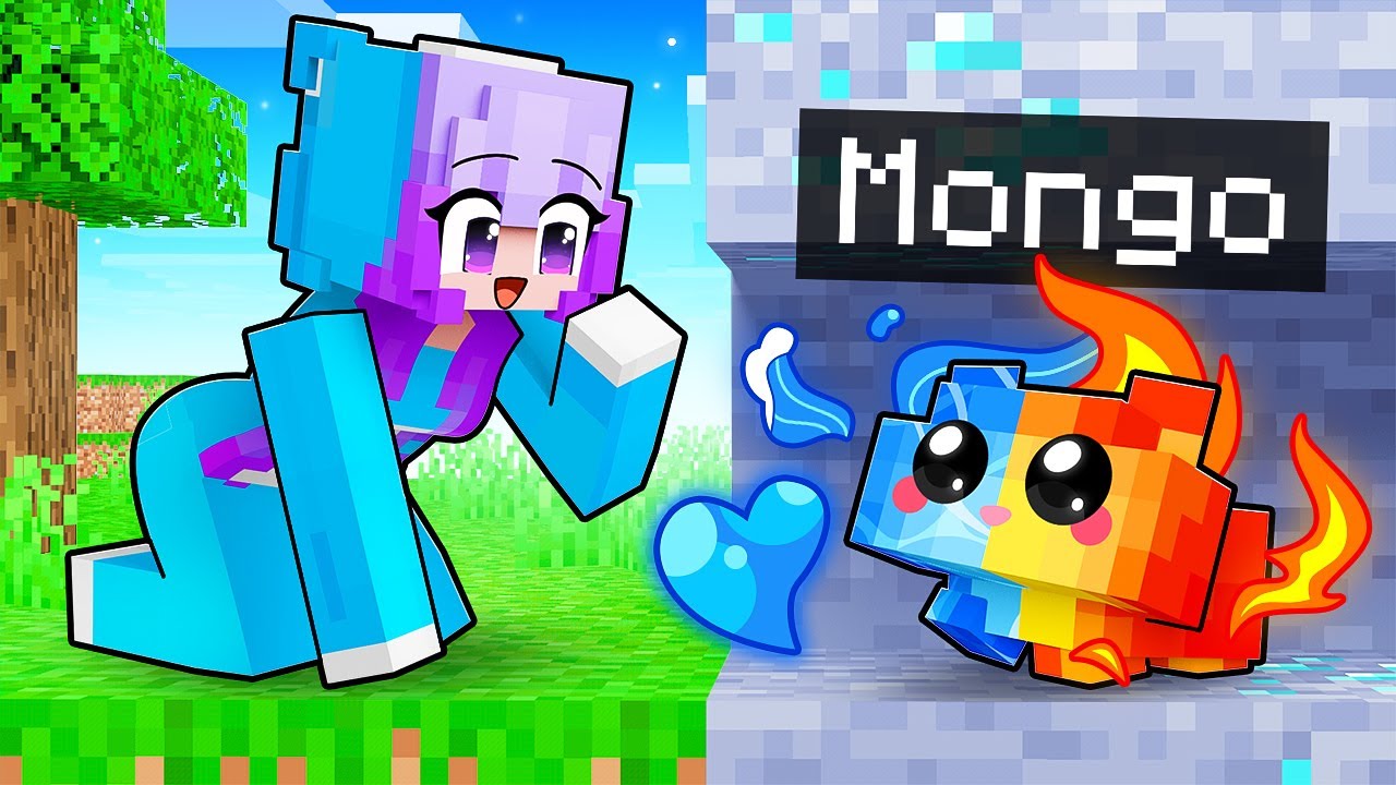 I Pretended to be a ELEMENTAL BABY HAMSTER in Minecraft!