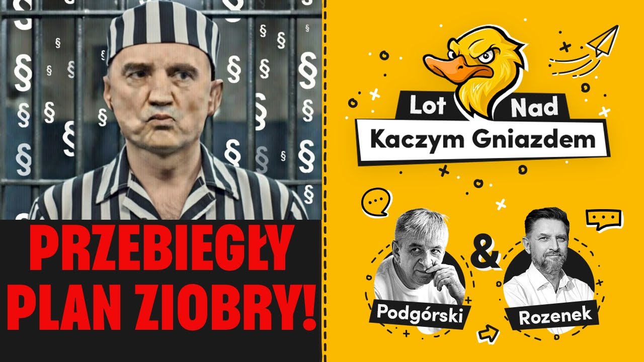PRZEBIEGŁY PLAN ZIOBRY! DYNAMICZNE STOSUNKI NAWROCKIEGO. POWSTAŁA DEMOKRATYCZNA REPUBLIKA PINGWIN&Oacute;W.