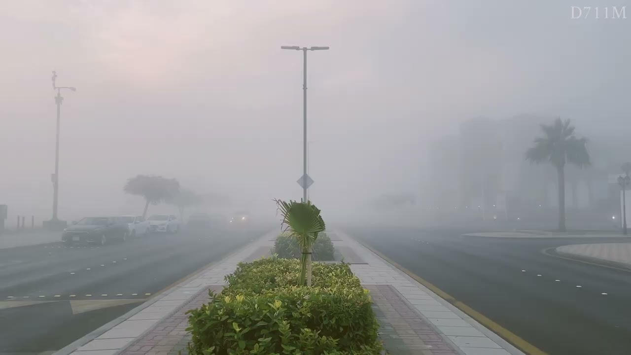الجبيل الصناعية لقطات من زواياء واوقات مختلفة 2021-2022🤍🌳📱.