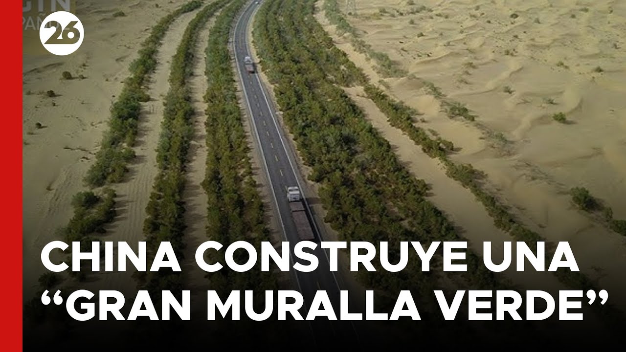 CHINA construye una “GRAN MURALLA VERDE” con 4.500 kilómetros de ÁRBOLES