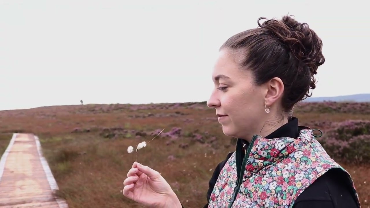 Northern Ireland's Most Breathtaking Trail | Stairway to Heaven