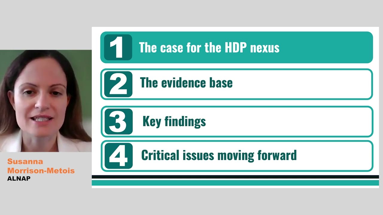 The humanitarian-development-peace HDP nexus | Essential briefings for humanitarian decision-makers