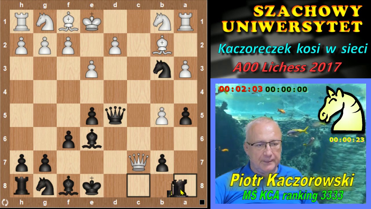 A00.Orangutan znalazł się w klatce.PKW.2326.