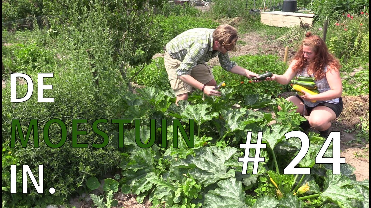 De Moestuin In. Vlog #24 - De tuin tegen een burn-out