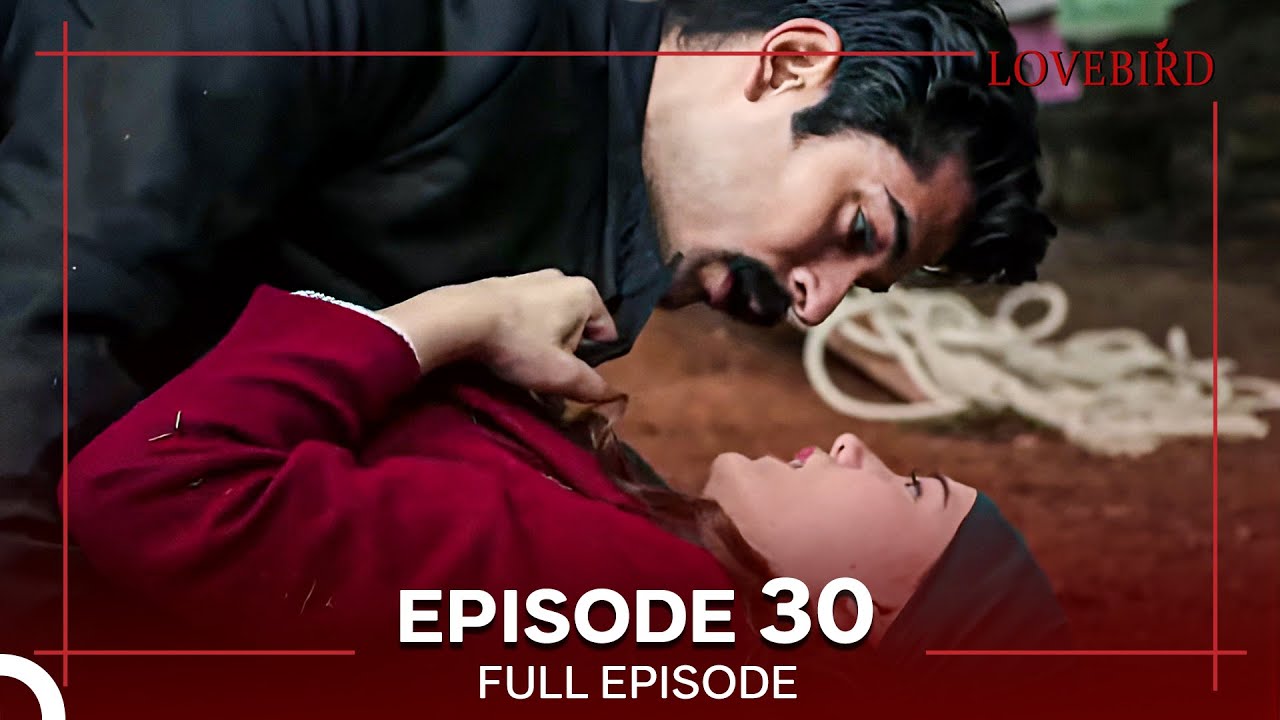 Lovebird Episode 30